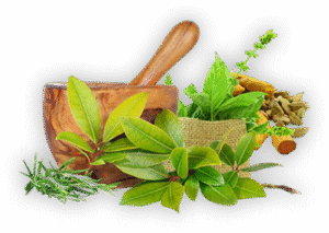 ayurveda logo png photo