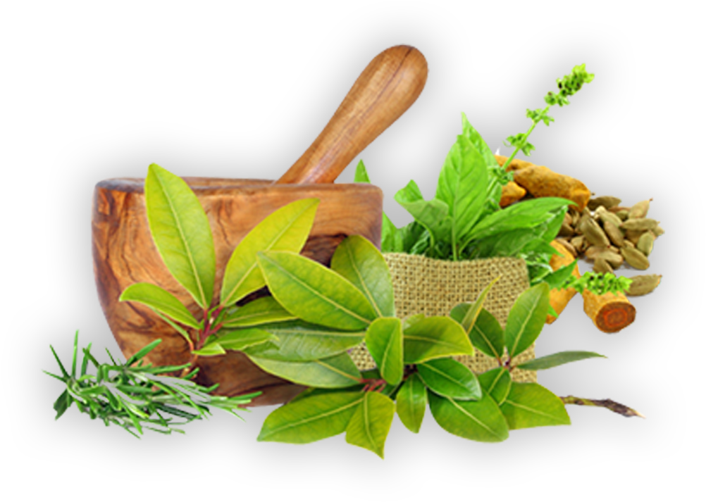 ayurveda logo png photo